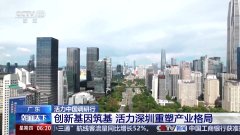 现正在市了越来越多AI剪辑、影像云平台